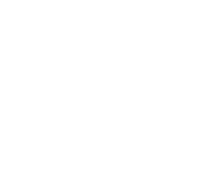 logo LEAN NOV